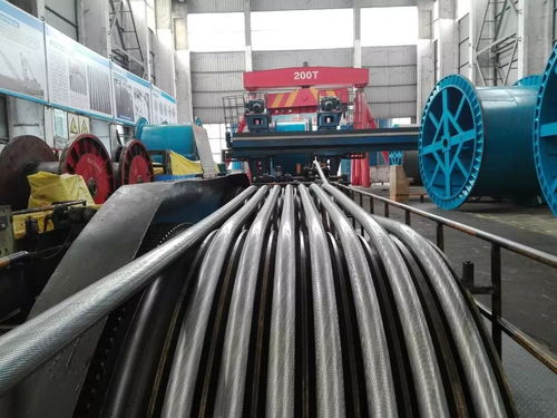 公司順利完成銅仁奧體中心密封繩生產，同步推進塑料管產銷業務